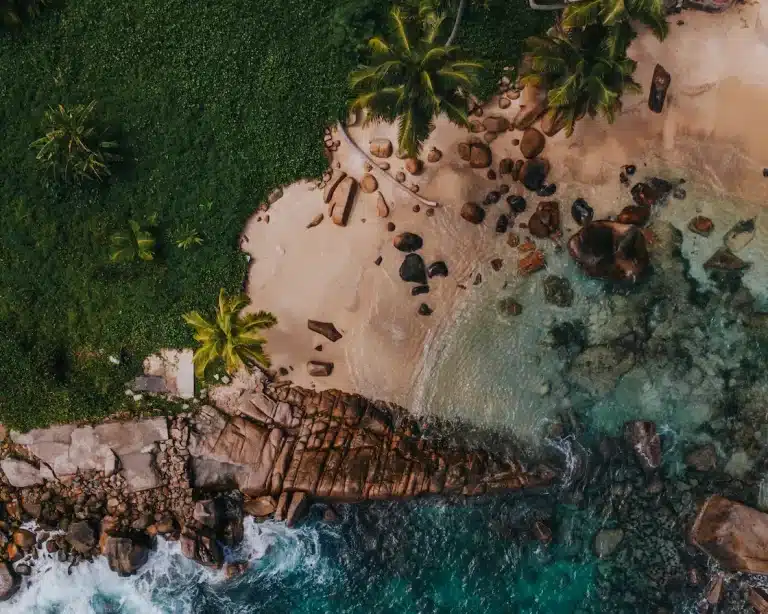 Luftaufnahme eines tropischen Strandes mit klarem, türkisfarbenem Wasser, Palmen, felsigen Küsten und einer kleinen Sandbucht, umgeben von üppigem Grün, perfekt für einen Segelurlaub.