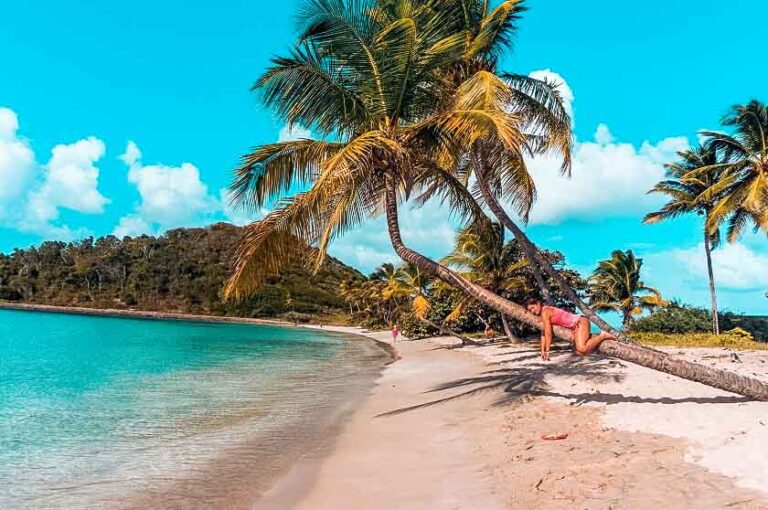 Emerald green sea at the beach in the Caribbean.
