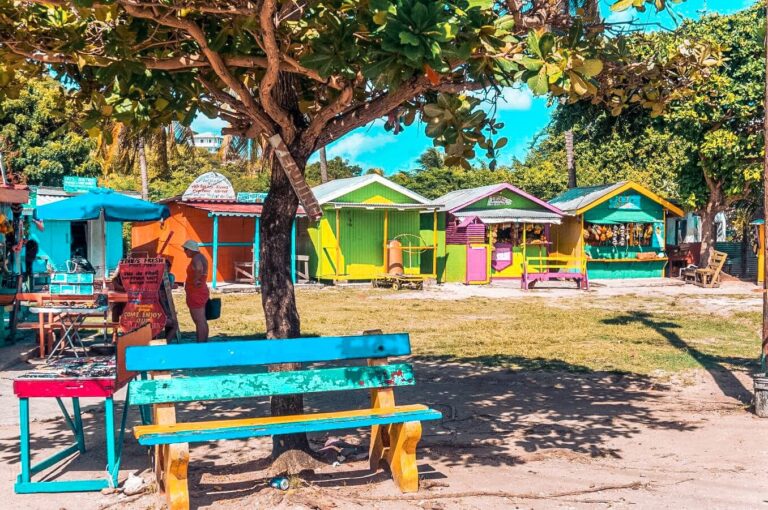 Explore cities, visit markets in the Caribbean. 