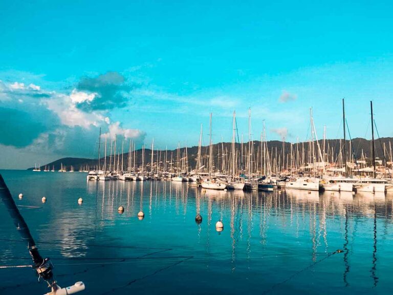 Arrival harbor Martinique with many sailboats