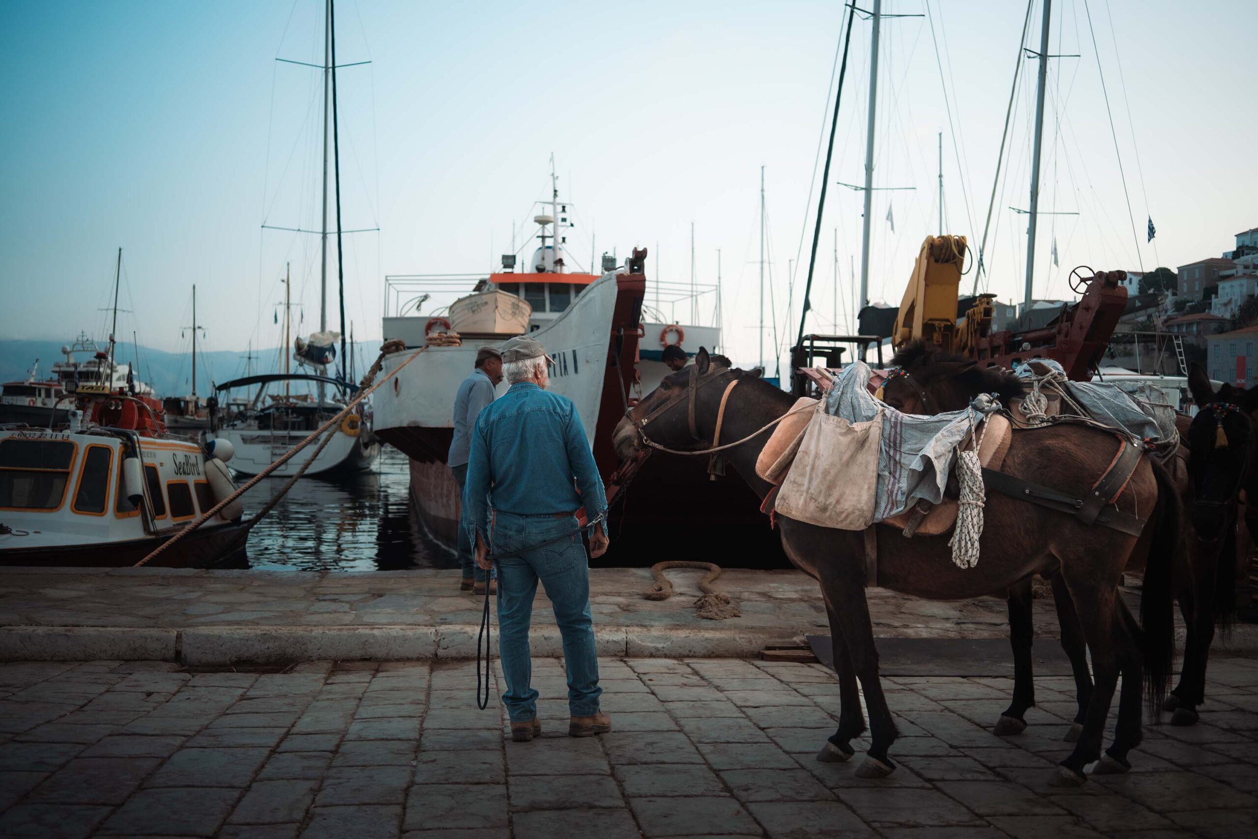 A person in a blue outfit with a wide-brimmed hat stands next to two saddled donkeys in a harbor. In the background, several boats—possibly preparing for a sailing trip—are anchored. Masts and equipment are visible. The sky is clear, suggesting early morning or late afternoon light.