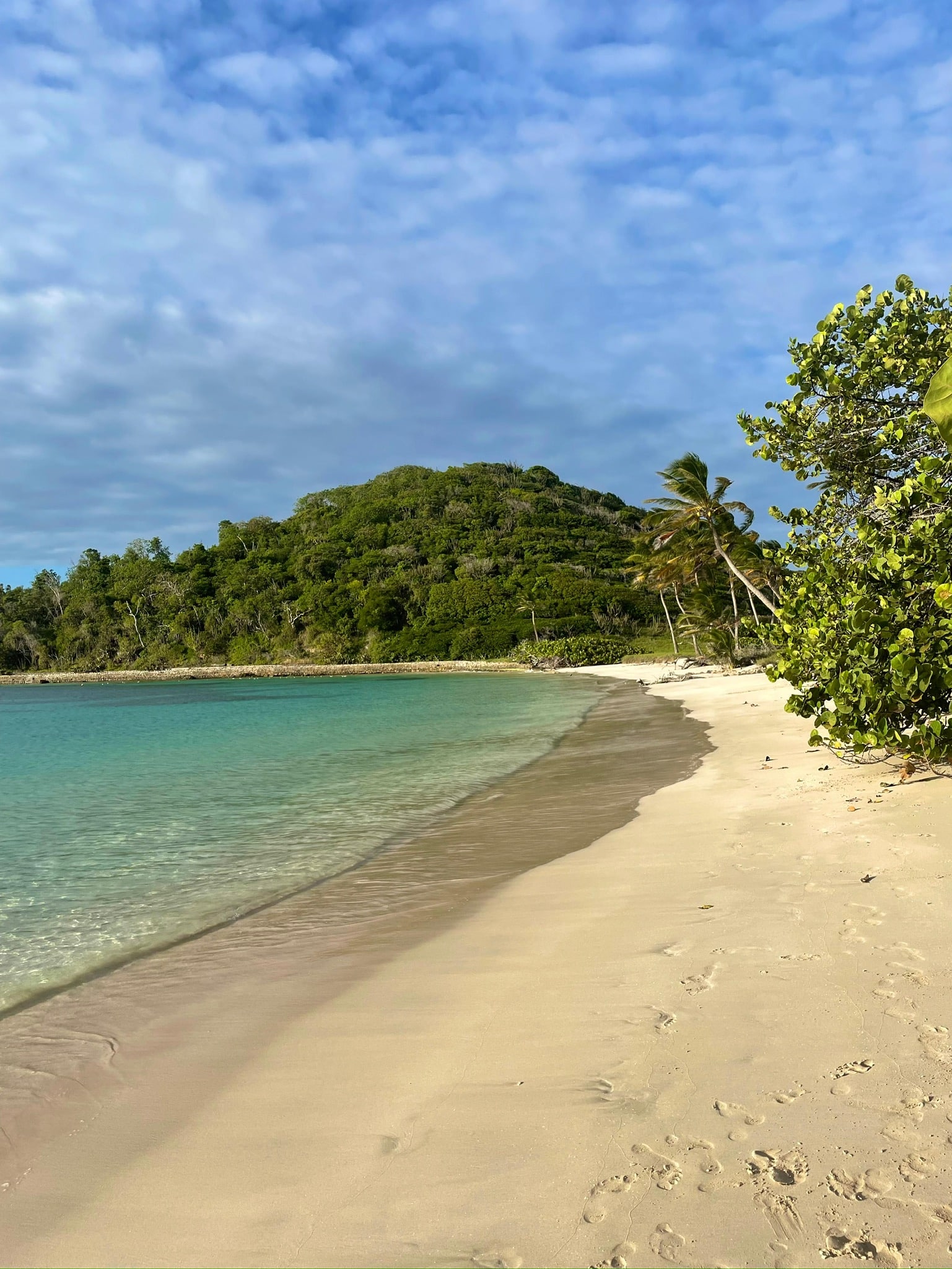 An untouched beach with clear blue water and soft, white sand gently curves towards a lush, green hill under a partially cloudy sky. Palms and other plants line the shore, creating a peaceful and picturesque tropical setting – perfect for an unforgettable Caribbean holiday in Martinique. 