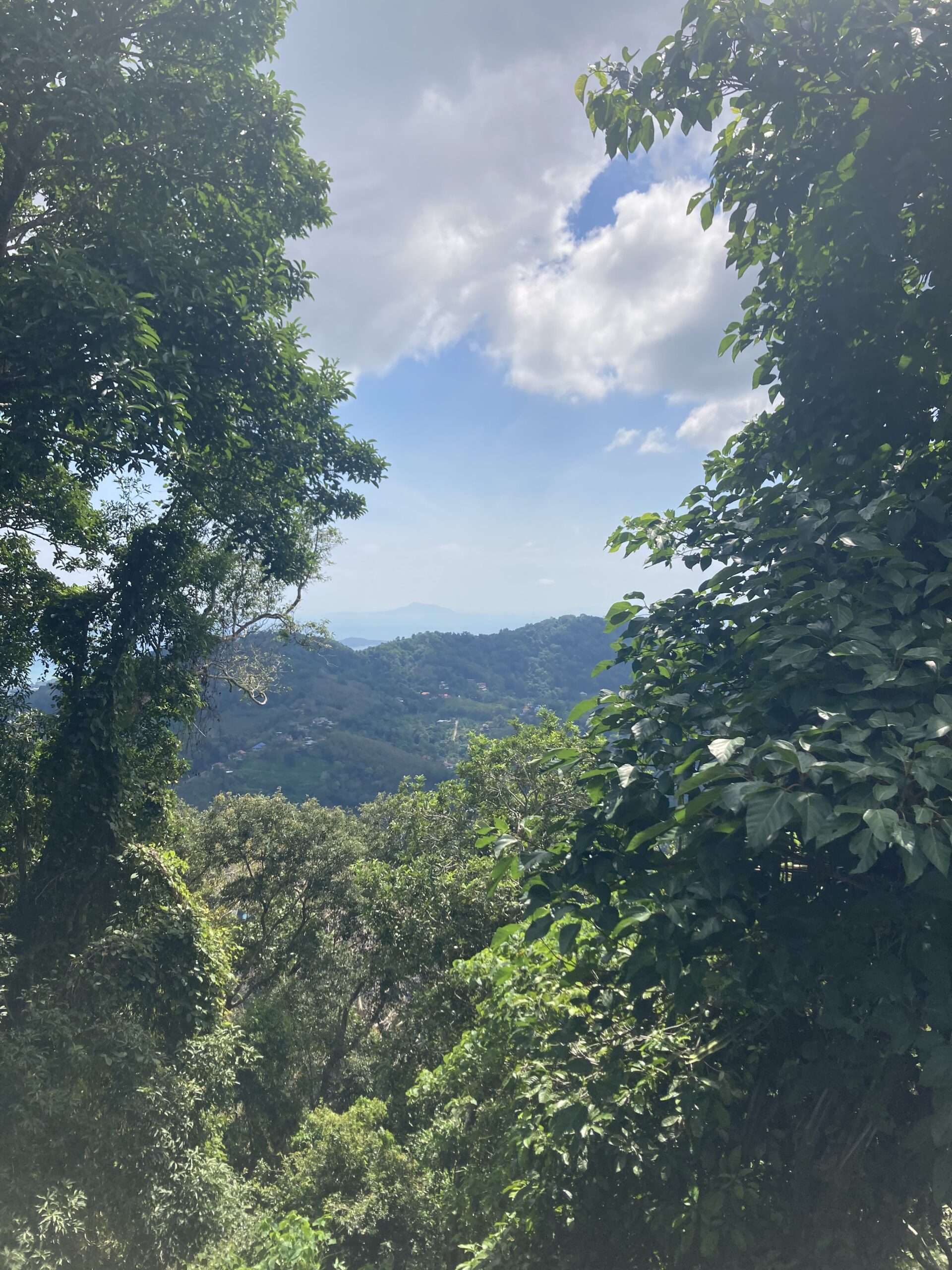 Lush green trees frame a picturesque view of the distant hills under a partly cloudy sky. The dense foliage opens up, revealing a mountainous landscape reminiscent of a sailing trip to Greece, with hints of small, scattered buildings in the valley below. 